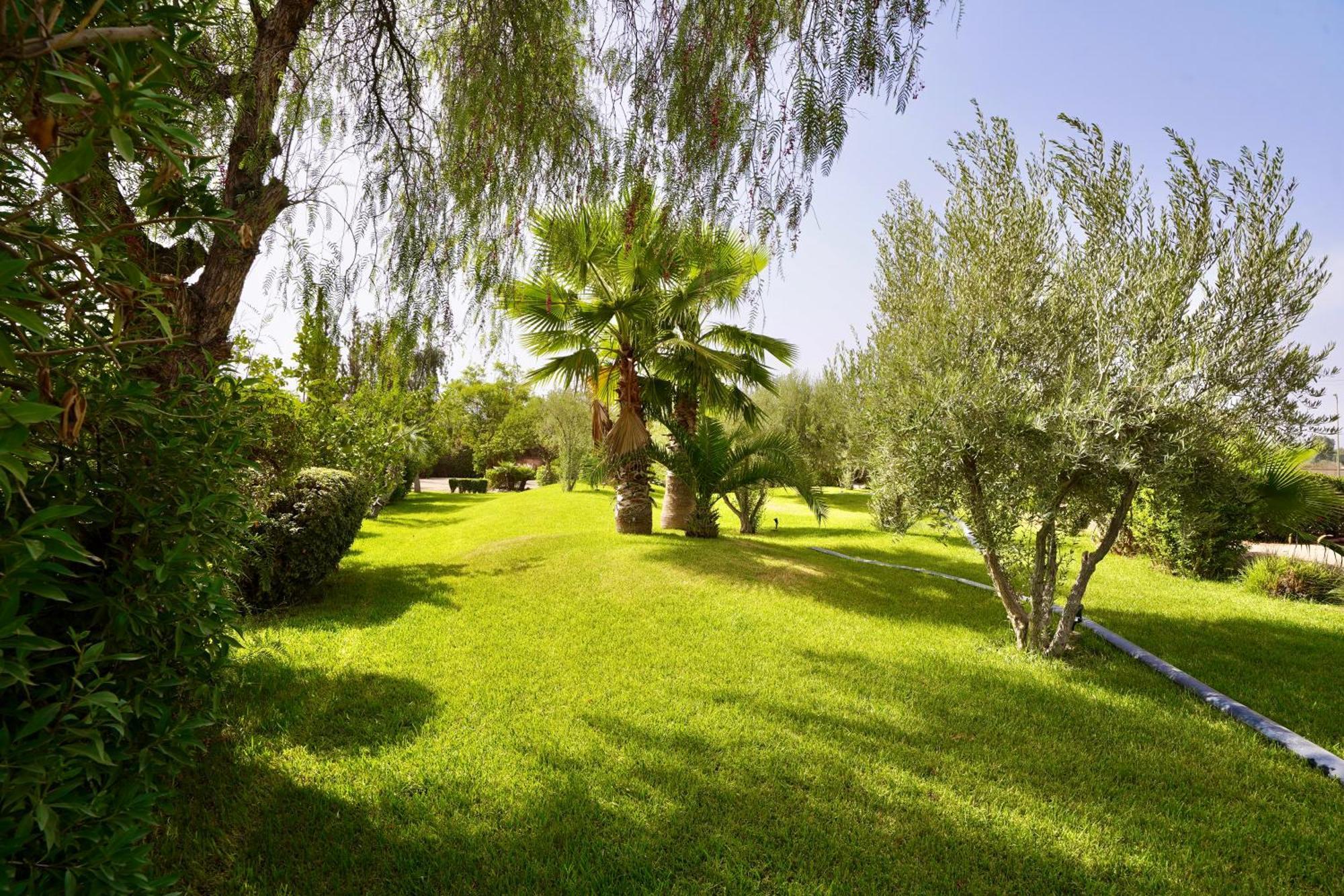 Ourika Camp Suites Hotel & Resort El Harkat 外观 照片
