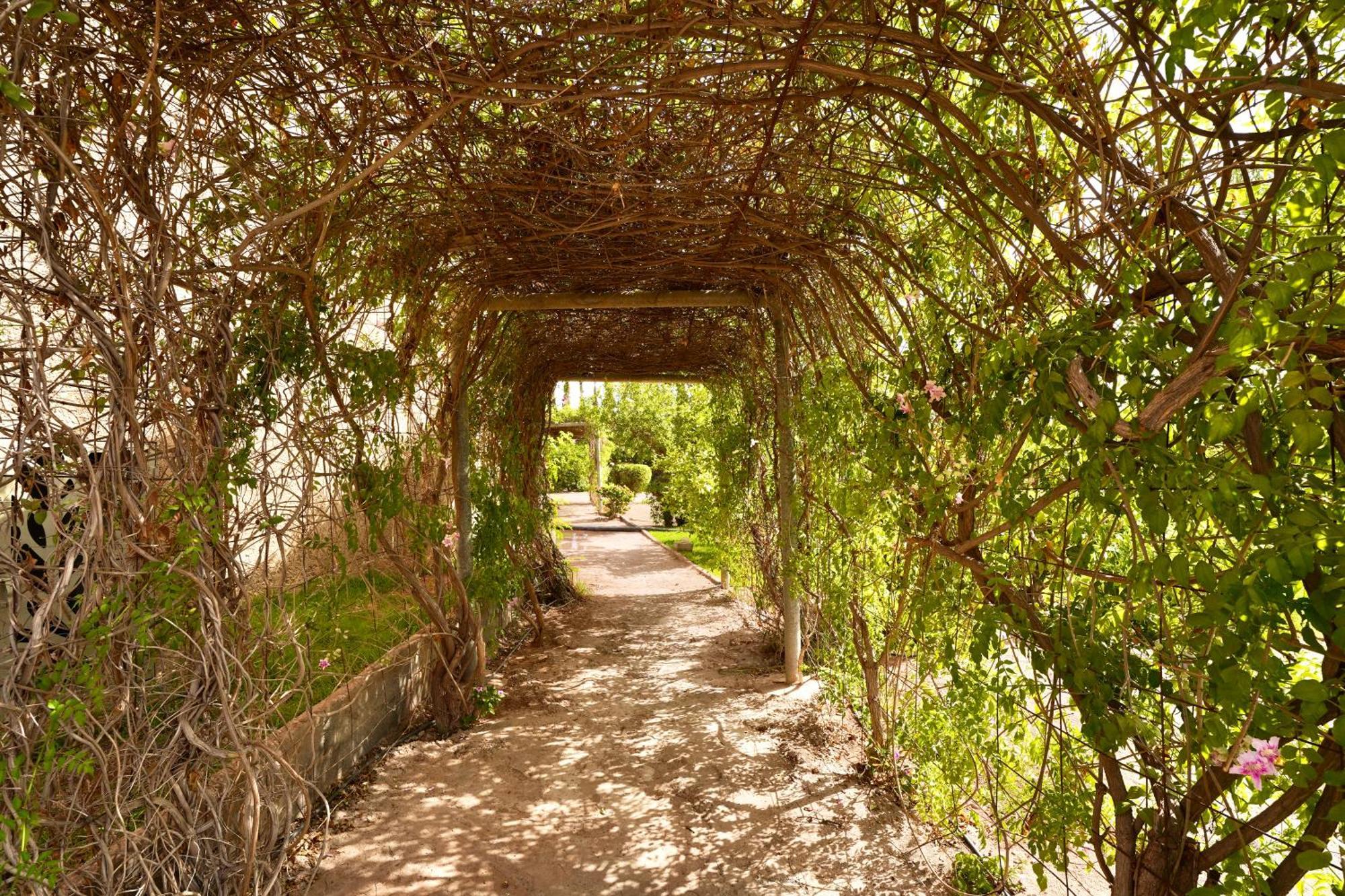 Ourika Camp Suites Hotel & Resort El Harkat 外观 照片